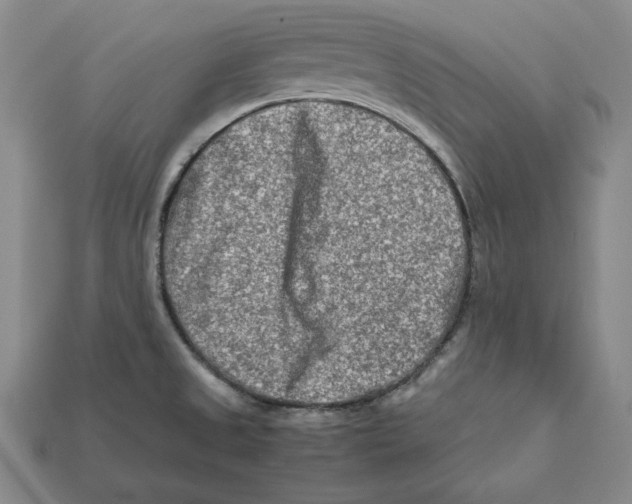 X0000112401525200909110918