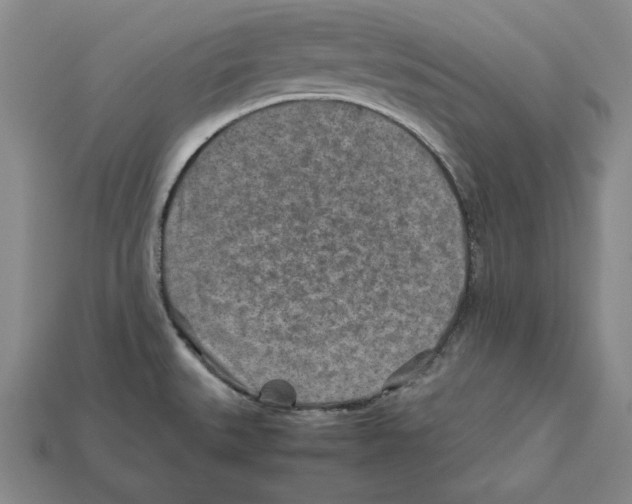 X0000112401527200909110918