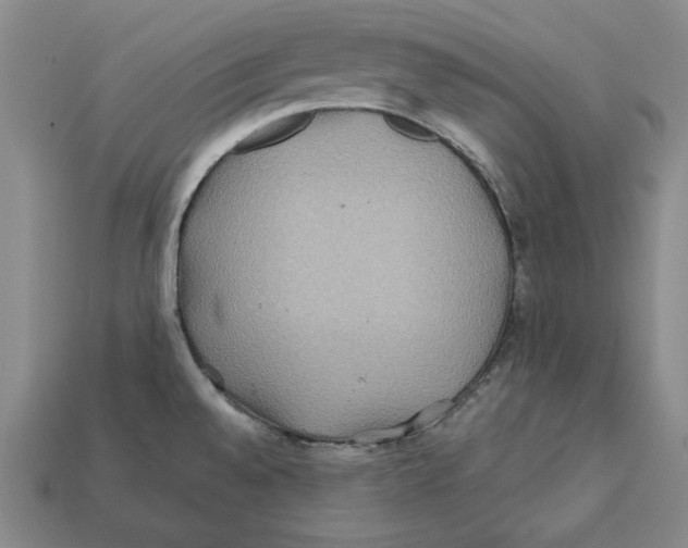 X0000112401528200909110918