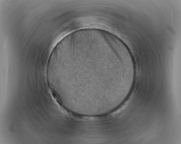 X0000112401529200909110918