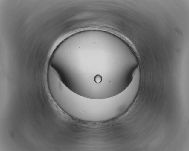 X0000112401530200909110918