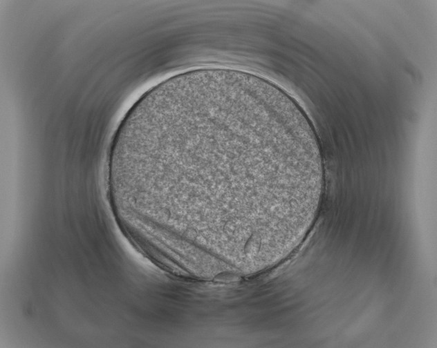 X0000112401531200909110918