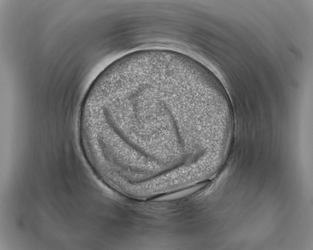 X0000112401533200909110918