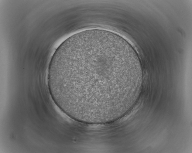 X0000112401535200909110918