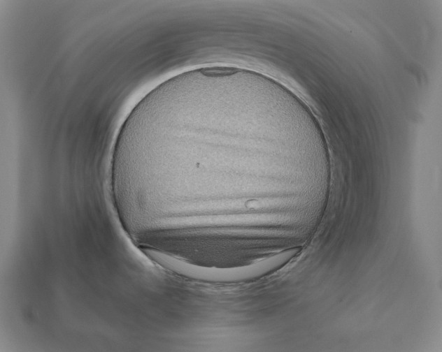 X0000112401536200909110918
