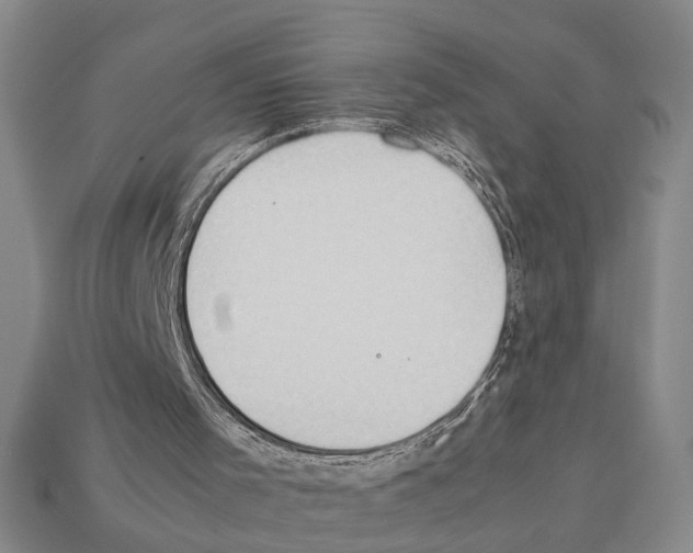 X0000112400001200909251445