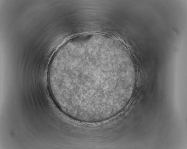 X0000112400002200909251445