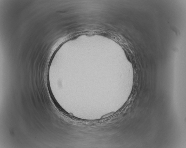 X0000112400003200909251445