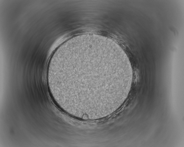 X0000112400004200909251445