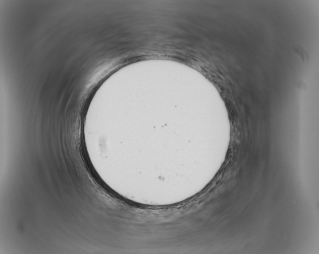X0000112400005200909251445
