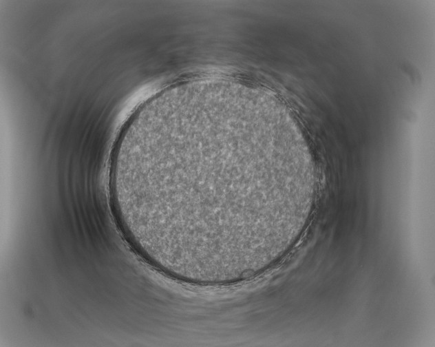 X0000112400006200909251445