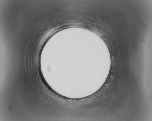 X0000112400007200909251445