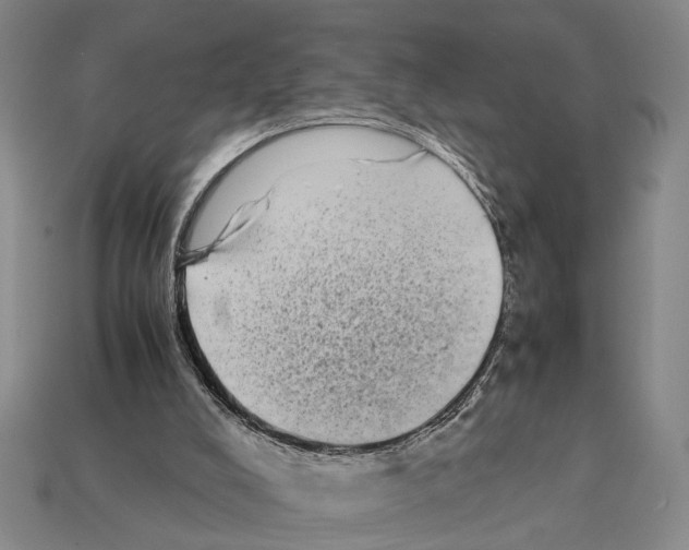 X0000112400008200909251445