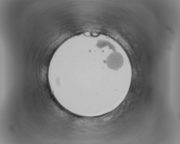 X0000112400009200909251445