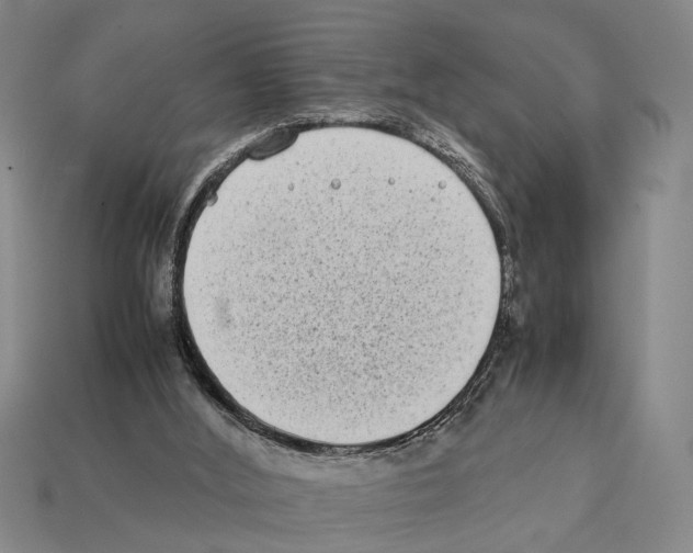 X0000112400012200909251445