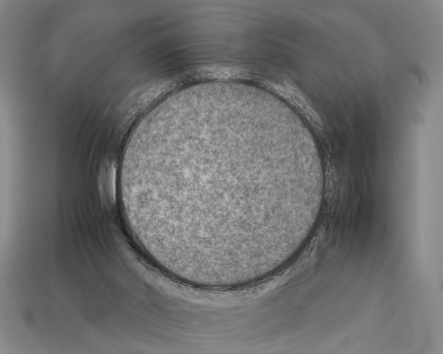 X0000112400014200909251445