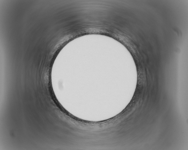 X0000112400015200909251445