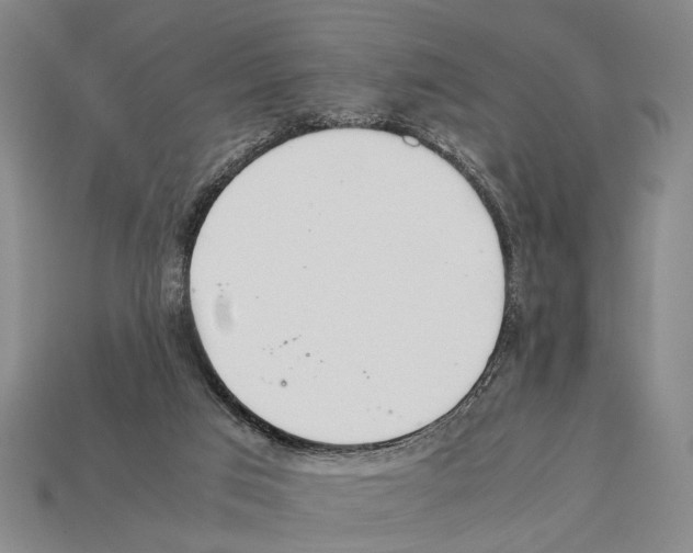X0000112400017200909251445