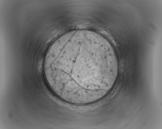 X0000112400018200909251445
