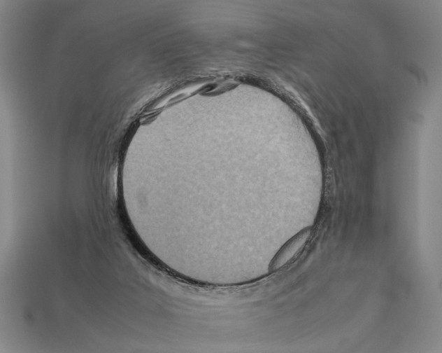 X0000112400019200909251445