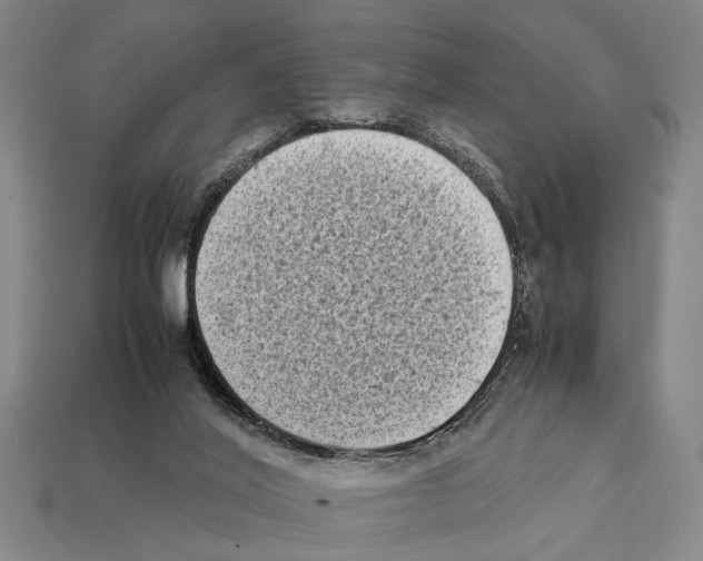 X0000112400020200909251445