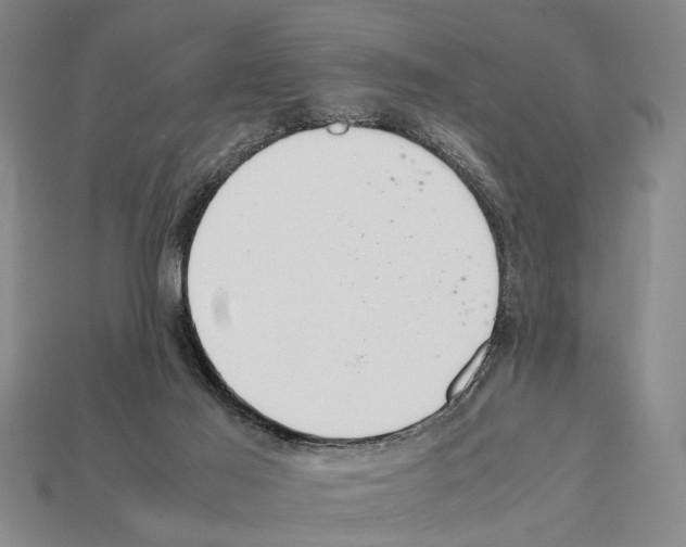 X0000112400021200909251445