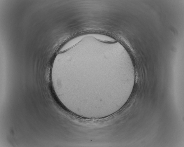 X0000112400023200909251445