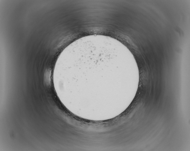 X0000112400024200909251445