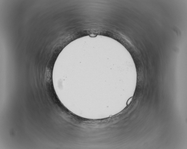 X0000112400025200909251445