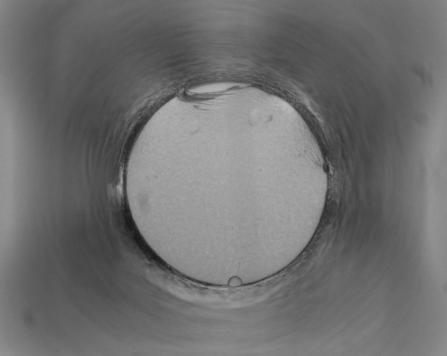 X0000112400027200909251445