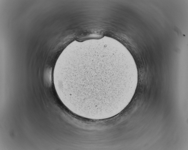 X0000112400028200909251445