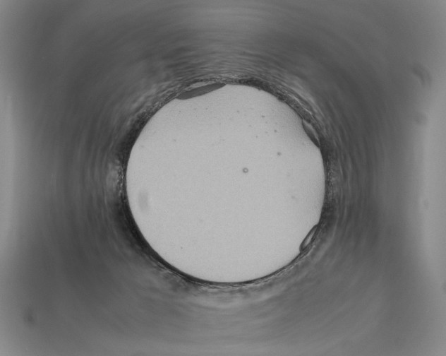 X0000112400029200909251445
