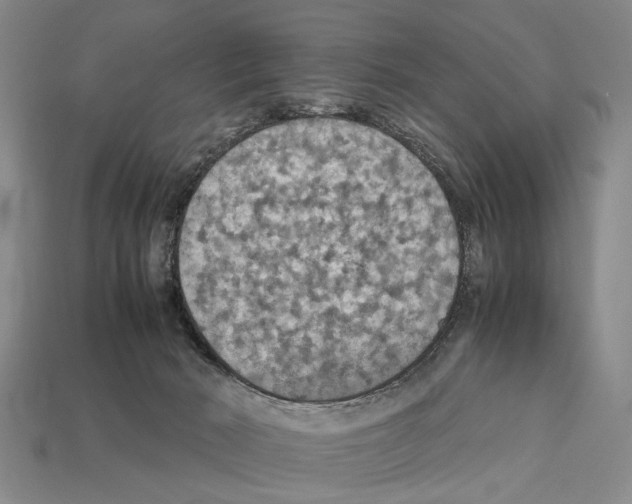 X0000112400030200909251445