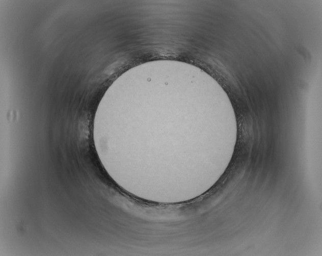 X0000112400032200909251445