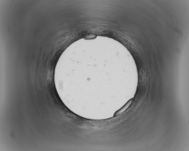 X0000112400033200909251444