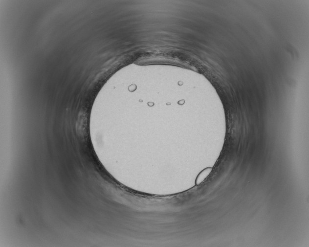 X0000112400036200909251444