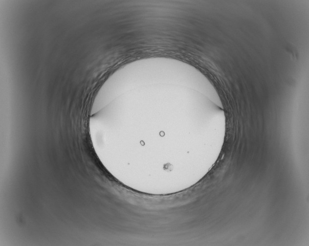X0000112400039200909251444
