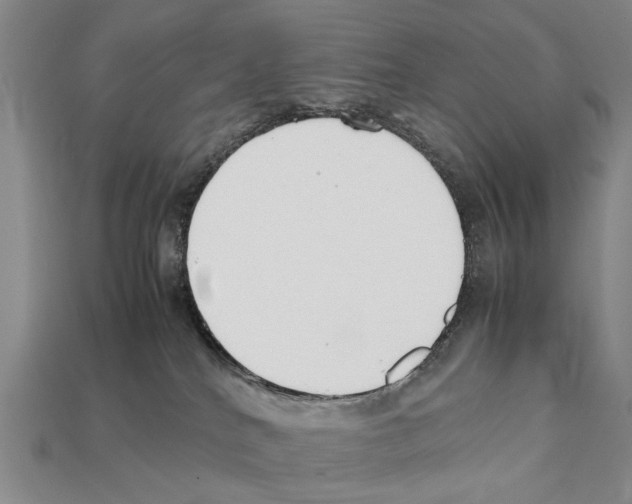 X0000112400040200909251444
