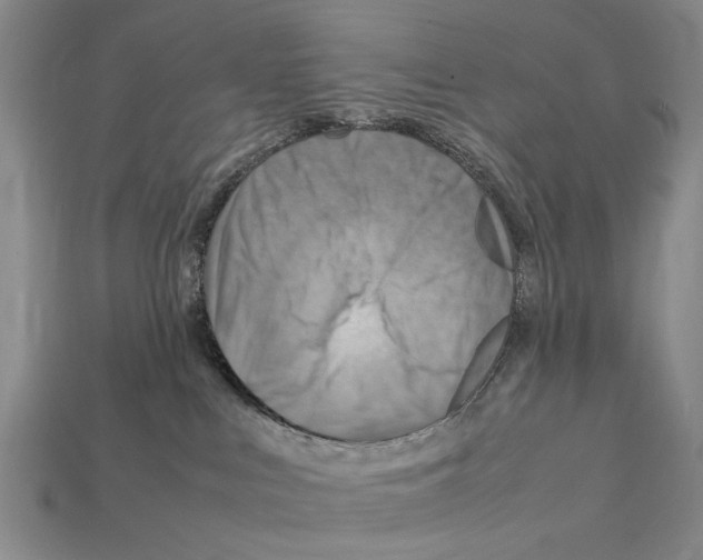 X0000112400043200909251444