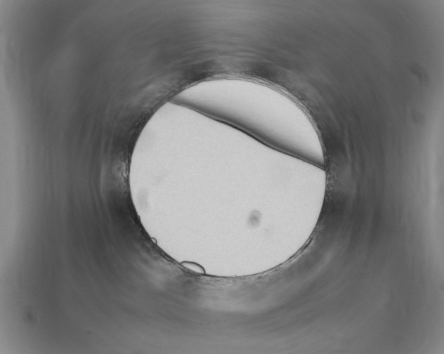X0000112400045200909251444