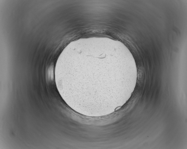 X0000112400046200909251444