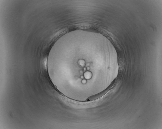 X0000112400047200909251444
