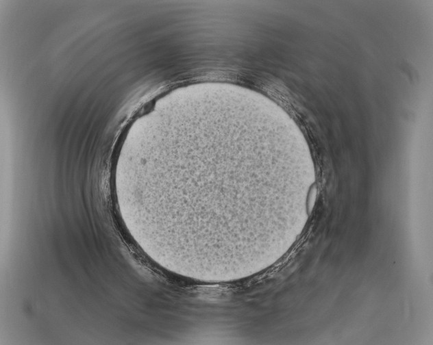 X0000112400050200909251444