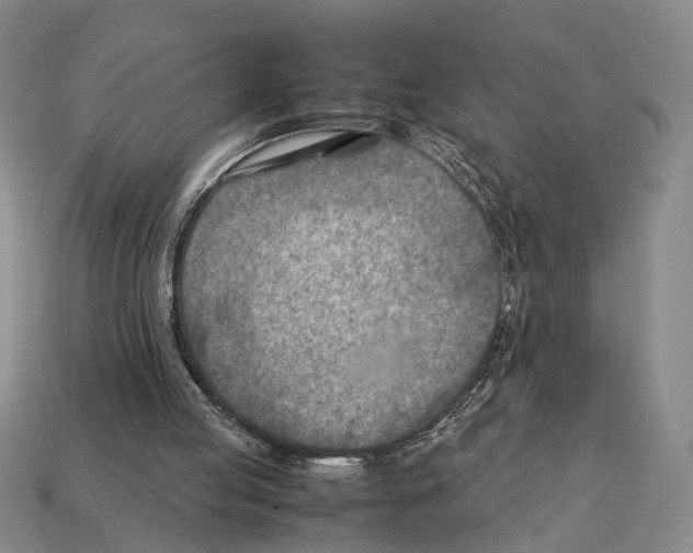 X0000112400053200909251444