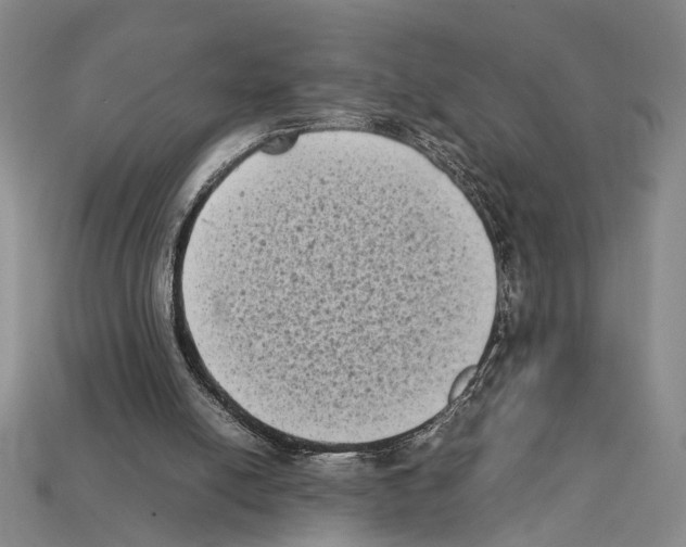 X0000112400054200909251444