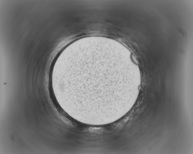 X0000112400055200909251444
