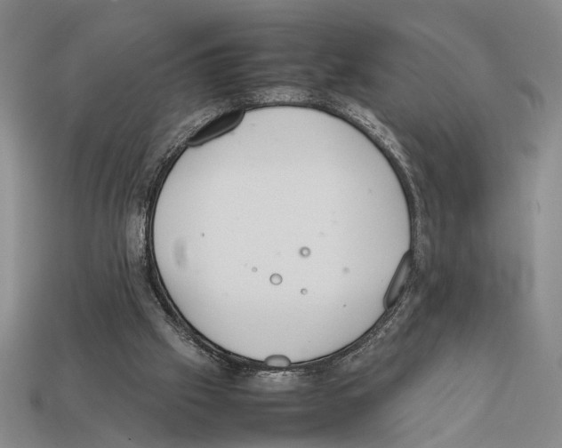 X0000112400057200909251444