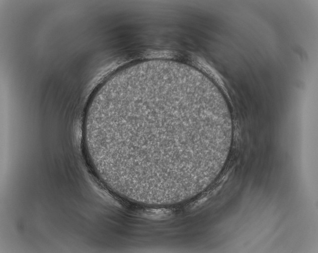X0000112400059200909251444