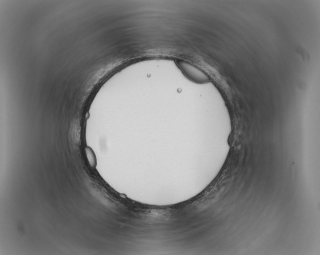 X0000112400060200909251444