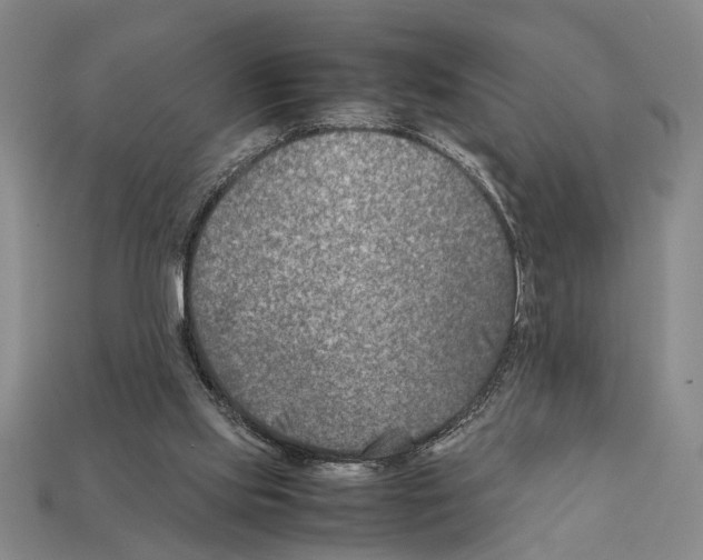 X0000112400061200909251444